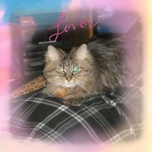 Meet your Posher, Barbara